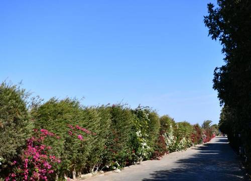 misir/kizildeniz/marsa-alam/wadi-lahmy-azur-resort_9abb458a.jpg
