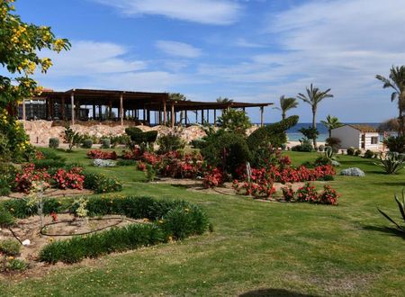 misir/kizildeniz/marsa-alam/wadi-lahmy-azur-resort_c66b9e3a.jpg