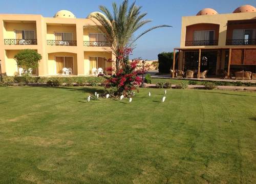 misir/kizildeniz/marsa-alam/wadi-lahmy-azur-resort_f5359364.jpg