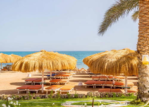 misir/kizildeniz/safaga/caribbean-world-resort_3f7fd5c3.jpg