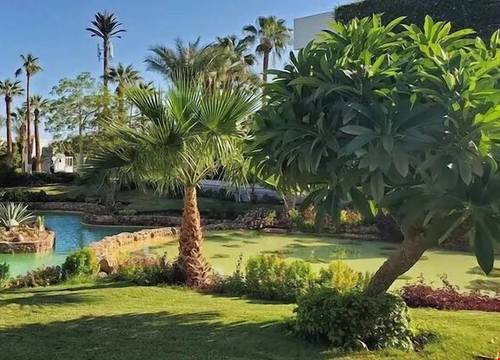 misir/ras-umm-sid/el-hadaba/monte-carlo-sharm-resort-spa_09c06597.jpg