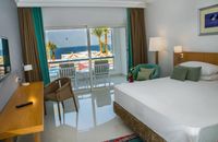 Premium Loft 1 Kral