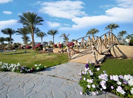 misir/sharm-ash-sheikh/qesm-sharm-ash-sheikh/aurora-oriental-resort_215c0227.jpg