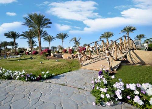 misir/sharm-ash-sheikh/qesm-sharm-ash-sheikh/aurora-oriental-resort_215c0227.jpg