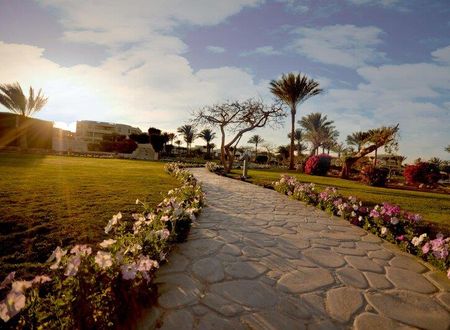misir/sharm-ash-sheikh/qesm-sharm-ash-sheikh/aurora-oriental-resort_50f5f496.jpg