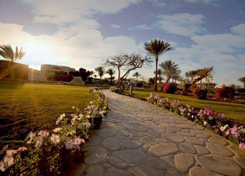 misir/sharm-ash-sheikh/qesm-sharm-ash-sheikh/aurora-oriental-resort_50f5f496.jpg