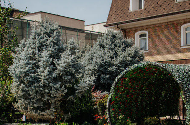 ozbekistan/taskent/tashkent/hl309-hotel-tashkent_817b55f9.jpg