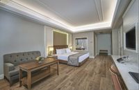 Deluxe Superior Plus Aile Odası