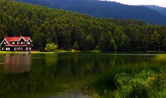 Abant