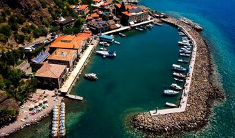 Assos