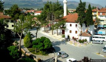 Bozkurt