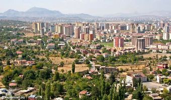 Talas