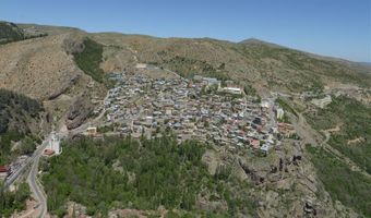 Taşkent