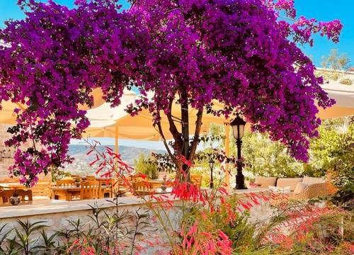 placeimages/turkey/mugla/datca/tas-konak-eski-datca_genel-1-f8291fb1.jpg