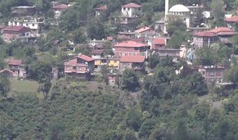 İkizce