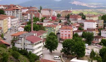 Kavak