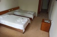 Standard - Twin Room