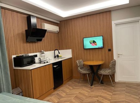 placeimages/turkiye/istanbul/gaziosmanpasa/gumus-palace-hotel_mutfakli-oda-b70749ee.jpg