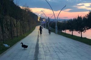placeimages/turkiye/kocaeli/karamursel/otel-blue-pier_genel-d33b3d11.jpg