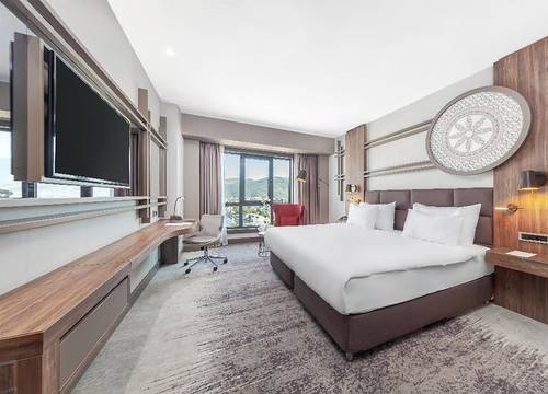placeimages/turkiye/tokat/merkez/dedeman-tokat_superior-room-14608eca.jpg