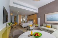 One Bedroom Suite with lounge access