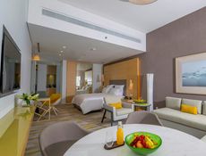 One Bedroom Suite with lounge access
