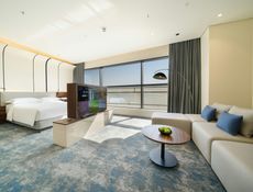 Spacious Room - King Bed
