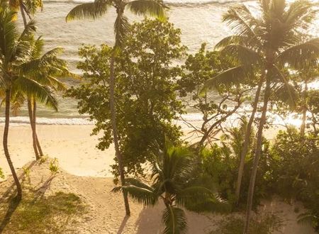 seysel-adalari/anse-kerlan/praslin/constance-lemuria_1245adbb.jpg