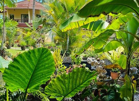 seysel-adalari/grandanse-praslin/cote-dor/hotel-le-duc-de-praslin_07223571.jpg
