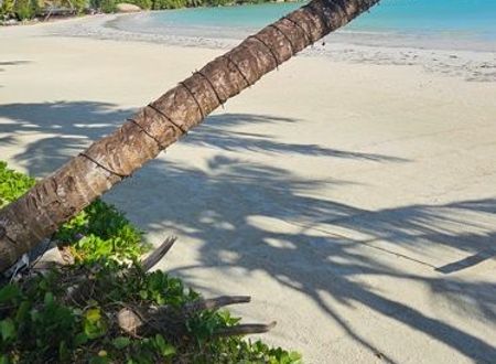 seysel-adalari/grandanse-praslin/cote-dor/hotel-le-duc-de-praslin_3129eaf2.jpg