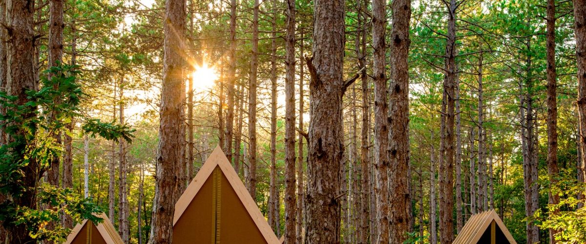 Longosphere Glamping