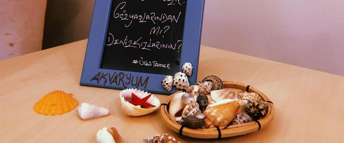 Butik Akvaryum