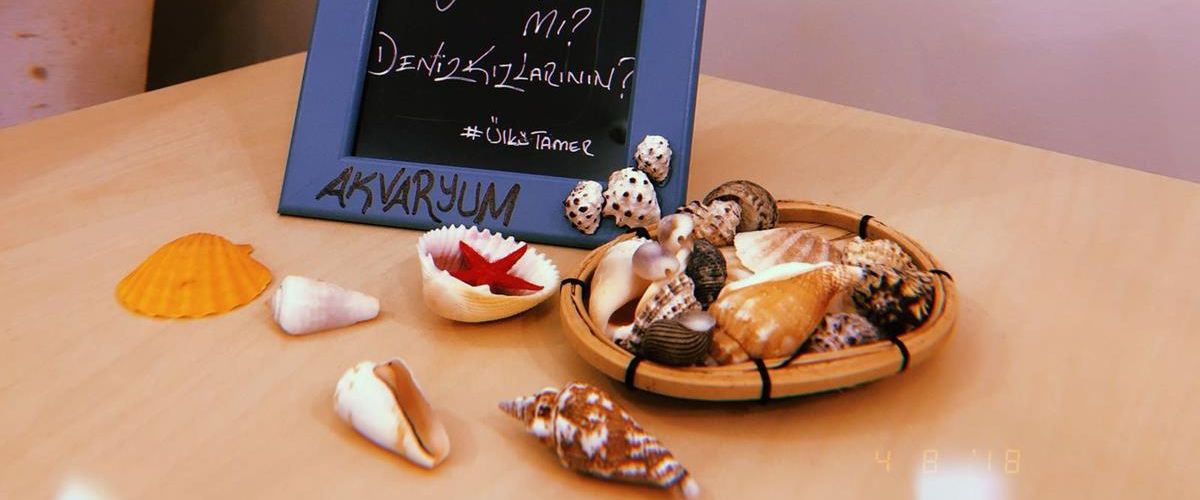 Butik Akvaryum