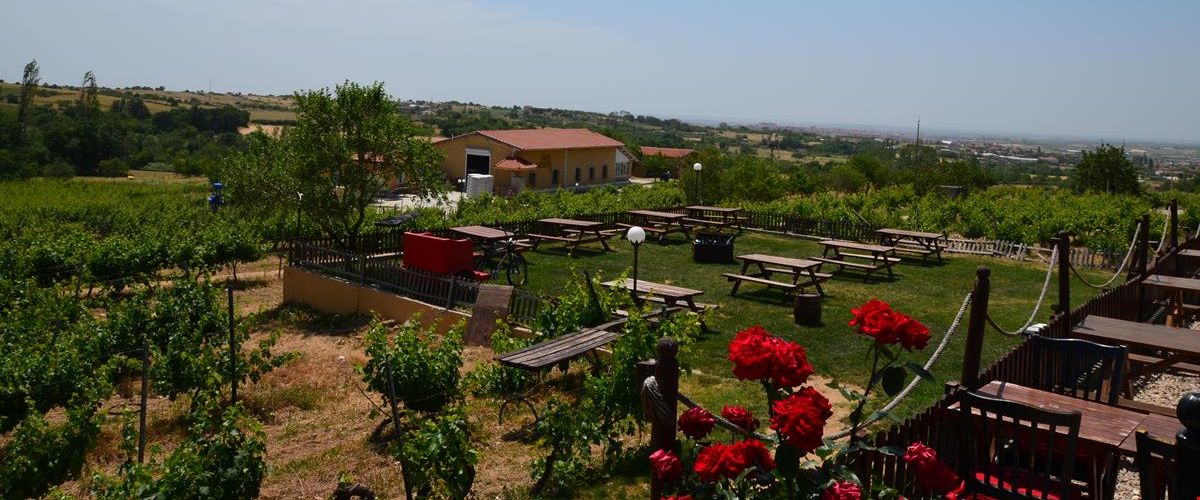 Dessera Vineyards Hotel