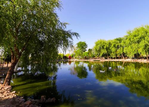 turkey/afyon/sandiklithermalparkresortspaconventioncenter8d496b4b.jpg
