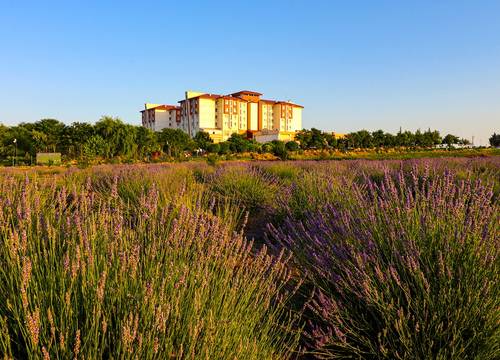 turkey/afyon/sandiklithermalparkresortspaconventioncenterb4cabe89.jpg