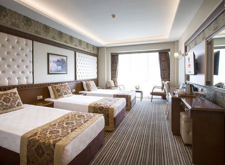 turkey/aksaray/grandaltuntashotelc12dfdfa.jpg