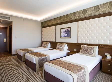 turkey/aksaray/grandaltuntashotelc7647ec3.jpg