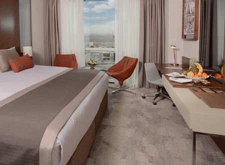 turkey/ankara/ankaraalegriabusinesshotelc51ae435.jpg