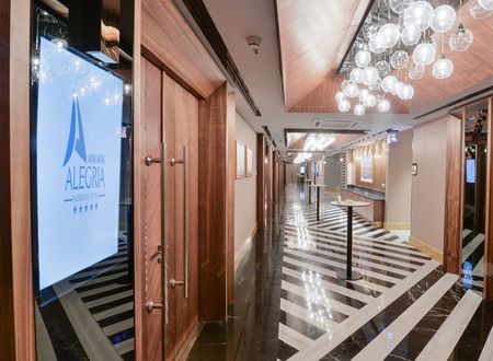 turkey/ankara/ankaraalegriabusinesshoteld7d6c22d.jpg
