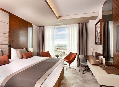 turkey/ankara/ankaraalegriabusinesshotelf552b073.jpg
