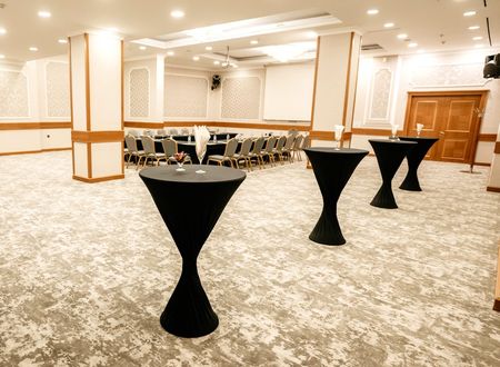 turkey/ankara/cankaya/ankaraplazahotel29309ffe.jpg