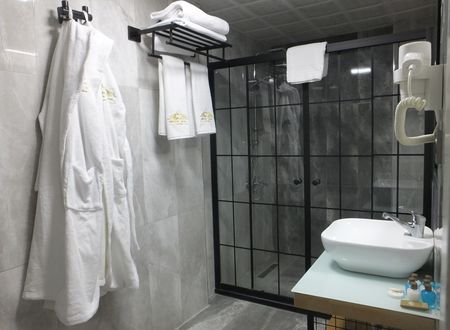 turkey/ankara/cankaya/ankuvahotel60f86f52.jpg