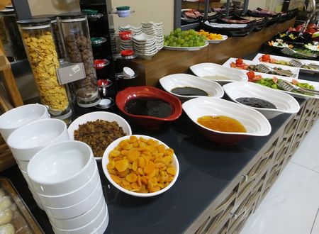 turkey/ankara/cankaya/ankuvahotelc7cf4853.jpg
