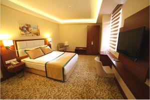 turkey/ankara/cankaya/asrinbusinesshotel919e6ce3.jpg