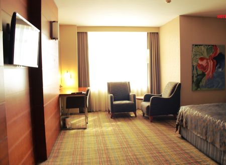 turkey/ankara/cankaya/hotelhouston1de59cc2.jpg
