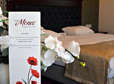 turkey/ankara/cankaya/hotelmonece11bdee4.jpg