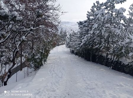 turkey/ankara/celiktermalbutikoteld2f93e68.jpg