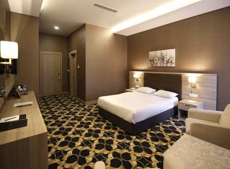 turkey/ankara/excellenceinnhotel0a183680.jpg