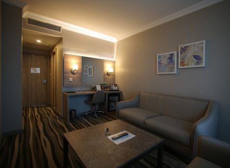 turkey/ankara/excellenceinnhotel94980852.jpg